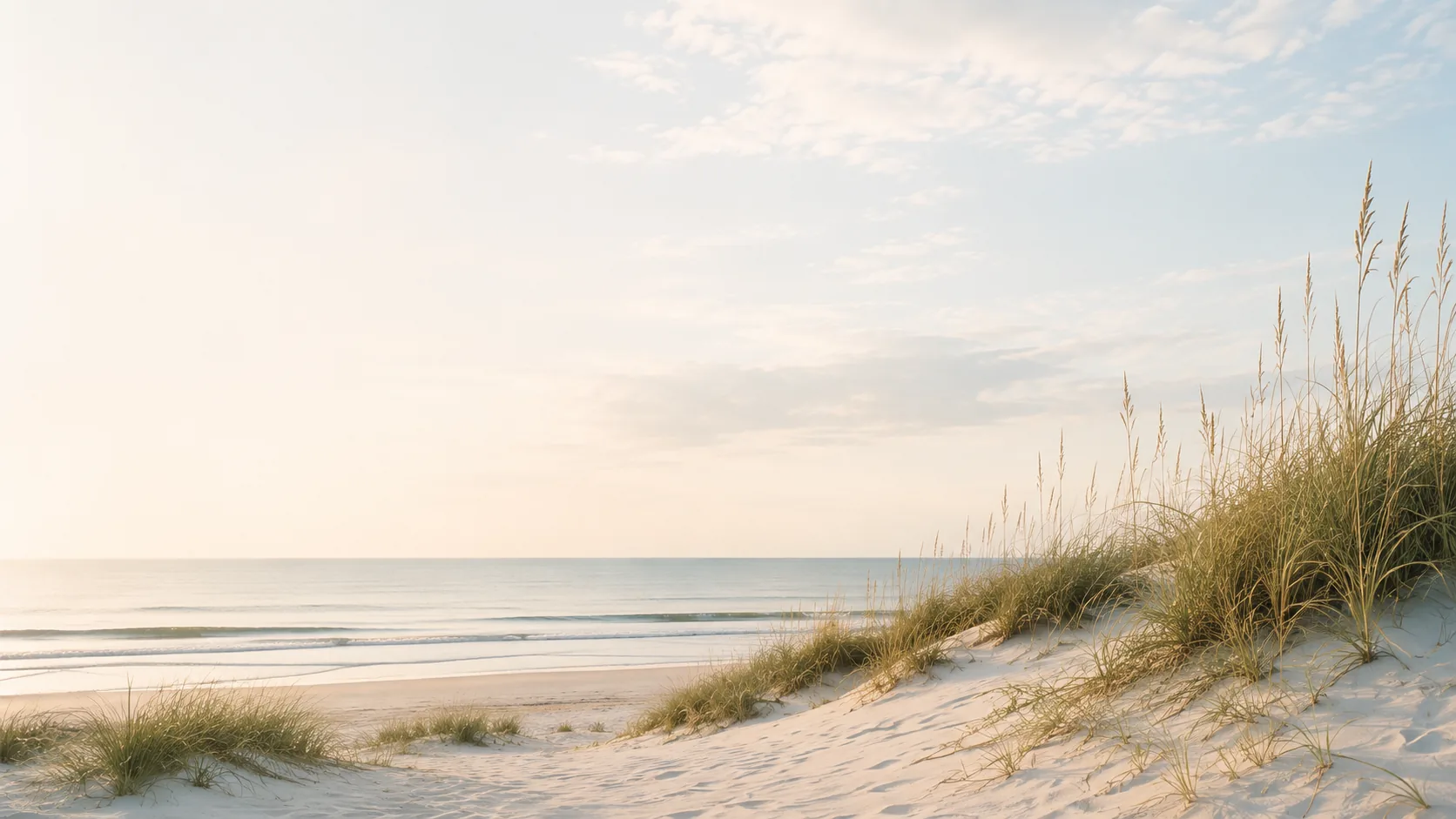 Sea oats on a quiet dune at sunrise